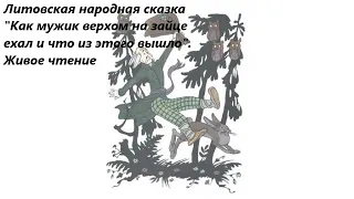 Литовская народная сказка "Как мужик верхом на зайце ехал и что из этого вышло". Живое чтение