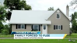 Snakes Take Over Idaho Family's Home   Video   ABC News