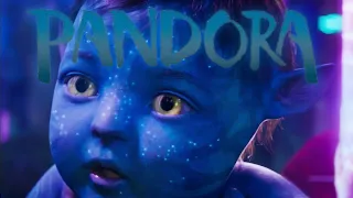 Birth of Na'vi | Pandora | Meditation Focus and Relaxing Ambience