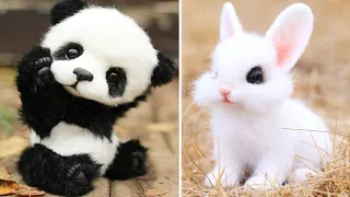Cute baby animals Videos Compilation cute moment of the animals - Cutest Animals #41