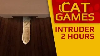 CAT GAMES - 😺 INTRUDER 4K 60FPS (VIDEOS FOR CATS TO WATCH) 2 HOURS