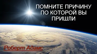 Помните причину по которой вы пришли [ Роберт Адамс, озв. Никошо]