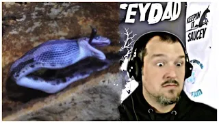 Saucey Reacts | Top 10 Scary Creatures Discovered Living In Caves | I’m Gonna Be Sick