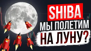 SHIBA: ИМЕННО ИЗ-ЗА ЭТОГО ЦЕНА ПОЙДЕТ ВВЕРХ!