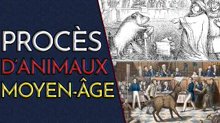 C'est QUOI LES PROCÈS D'ANIMAUX ? (allez, en taule !)