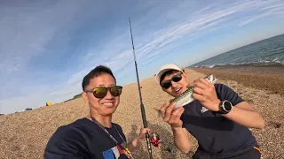 Fishing Mackerel in Chesil Beach🏖️ | Fishing