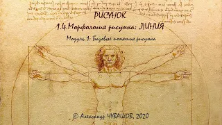 1.4. Морфология рисунка: Линия