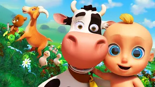 🐄 A Vaca Maru!🐮🎶 - Músicas Infantis Divertidas - LooLoo Kids Português