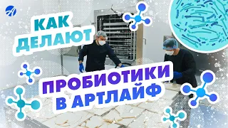 Изготовление пробиотиков в лаборатории Артлайф