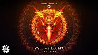 Zyce vs Flegma - Sun Bird