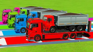 LOAD & TRANSPORT OLIVES and LIZARD TRUCK with MAN TRUCKS CHALLENGE - Farming Simulator 22