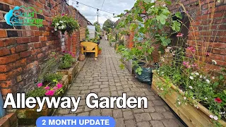 2-month Alleyway Garden Update: From Weeds To A Wildlife Garden