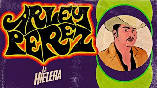 La Muerte Del M6 - Arley Perez