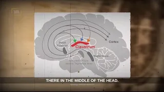 "Este es el secreto sagrado" | ACTIVACIÓN INSTANTÁNEA DEL TERCER OJO