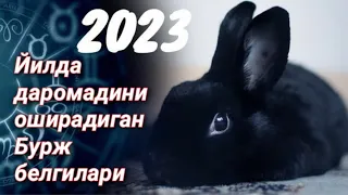 2023 йилда даромадини оширадиган бурж белгилари