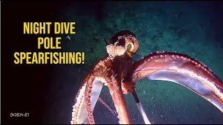 NIGHT DIVE POLE SPEARFISHING/ NIGHT SHIFT! #fishing #ytshort #fish #yt #ytviral #atoll #fisherman