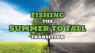 Fishing the SUMMER to FALL transition (where the bass go & the best baits to catch them)