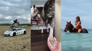 Horse TikToks That Went Viral! #25