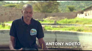 Kamuthanga Fish Farm - Aquaculture Academy Campus - (Anthony Ndeto)