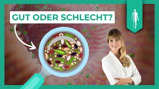 Die Wahrheit über Hülsenfrüchte: Darmgesundheit vs. Entzündungsrisiko