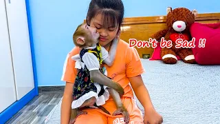 Monkey Kaka comforted Quynh who was sad because lost her bracelet