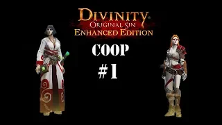 Прохождение Divinity Original Sin [ко-оп] часть 1: Женщины из-ЗА которых можно умереть!