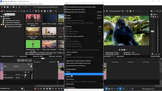 Cómo editar un video en Vegas Pro