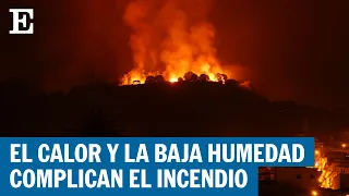 INCENDIO | El fuego en Tenerife deja más de 12.800 hectáreas quemadas y 13.000 evacuados | EL PAÍS