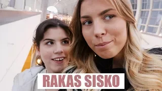 SISUSTUSOSTOKSILLA SISKON KANSSA 💖