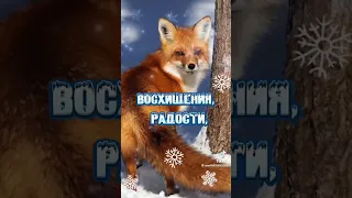 с первым днём зимы.С добрым утром. #зима #1декабря #ура