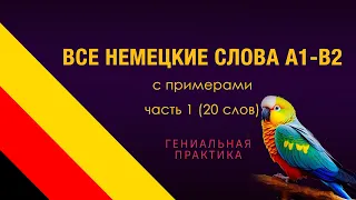 Все немецкие слова А1-В2. Часть 1, 20 слов с примерами.