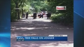 Dead tree falls on jogger