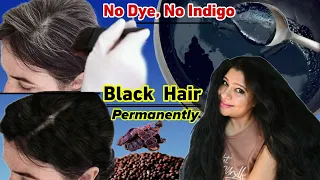 Permanent Solution For Hair Greying:No Dye, No Henna Get Black Hair Naturally ।Garima Singh।