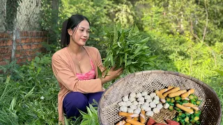 Pick Up Simple Ingredients From The Field For Cooking Dinner