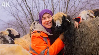 Köyde ki Mutlu Aile- Genç Çoban Kızın Dünyası| Belgesel-4K