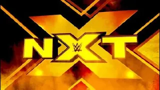 WWE 2K20_nxt amale vs chelsea green