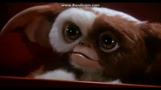 Gremlins 2 Billy & Gizmo Reunite