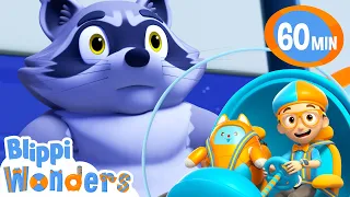 Racoon Bandit | Blippi Wonders | Rescue Adventures