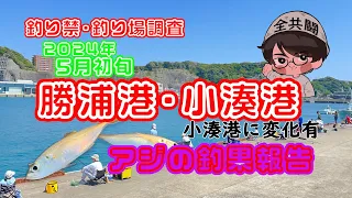 勝浦港・小湊港　アジ釣り調査　小湊港に変化有！場所取り撤去？