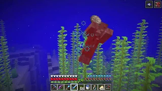 Getting Nautilus Shell from zombies that hold them - Minecraft