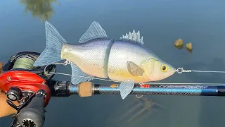 Making a White Bass SwimBait