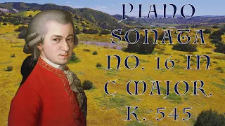 California Wildflowers | Piano Sonata No. 16 in C Major, K. 545 "Sonata facile": I. Allegro