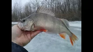 Рыбалка 21 марта 2018 года. Хорошие окуня и чебаки!