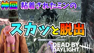 【DBD】神回✨粘着されたミンのスカッと脱出🔥【デッドバイデイライト】女性実況 766