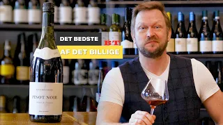 Det bedste af det billige - Pinot Noir rødvin