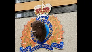 LIVE AT 4:15PM: Manitoba RCMP investigate 5 suspicious deaths in southern Manitoba