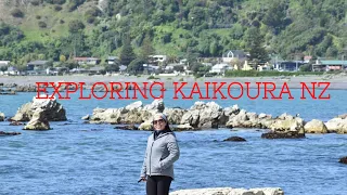 EXPLORING KAIKOURA NZ with JonaTheExplorer||TJVC