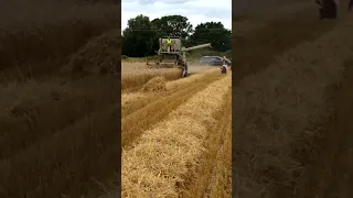 Little Ellingham Vintage Working Show, 2023. Claas Matador Standard.