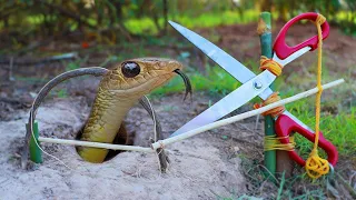 Easy Snake Trap   Creative Method DIY Snake Trap Using Cutter That Work