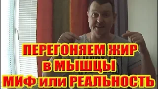 ПЕРЕГОНЯЕМ ЖИР в МЫШЦЫ МИФ или РЕАЛЬНОСТЬ